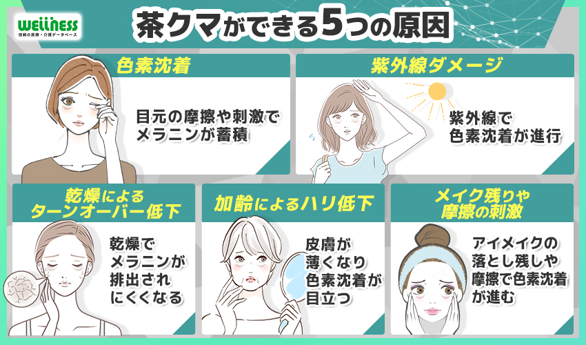 茶クマ　原因